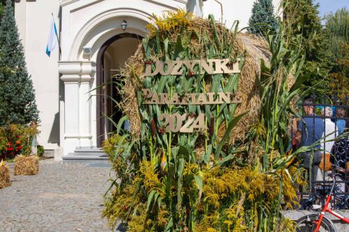 dozylki 2k24 po odchudzaniu-14