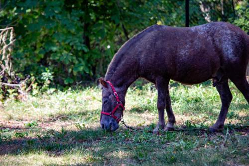 dozylki 2k24 po odchudzaniu-15