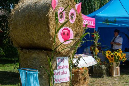 dozylki 2k24 po odchudzaniu-16