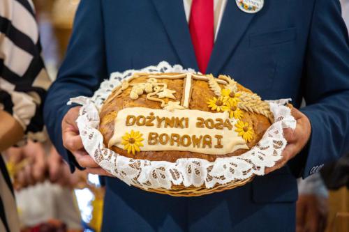 dozylki 2k24 po odchudzaniu-2