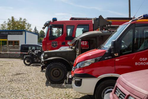 dozylki 2k24 po odchudzaniu-21