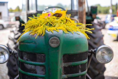 dozylki 2k24 po odchudzaniu-26