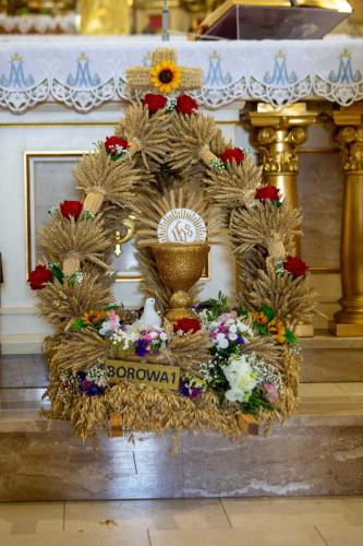 dozylki 2k24 po odchudzaniu-7