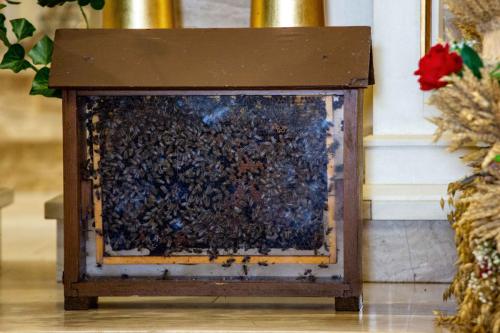 dozylki 2k24 po odchudzaniu-8