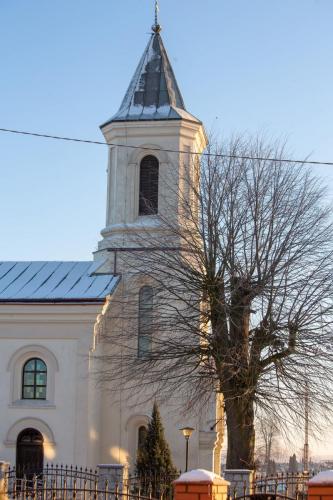 270054365_461821205467236_7965826465040988535_n